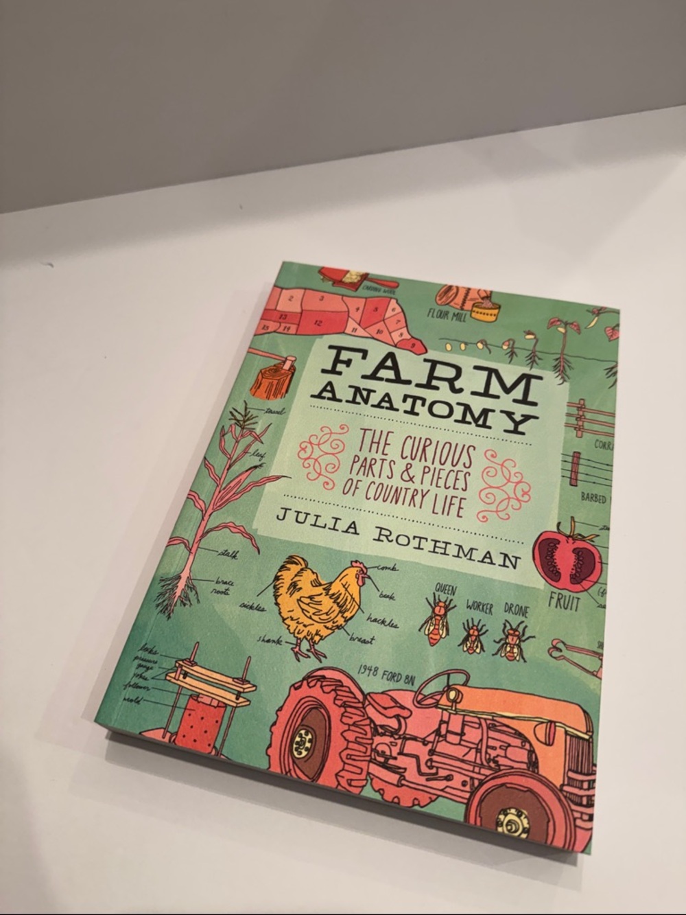 The Julia Rothman Collection - Picture 5 of 7